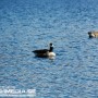 DSC_9831 DSC_9831
