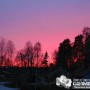 DSC_9874 DSC_9874